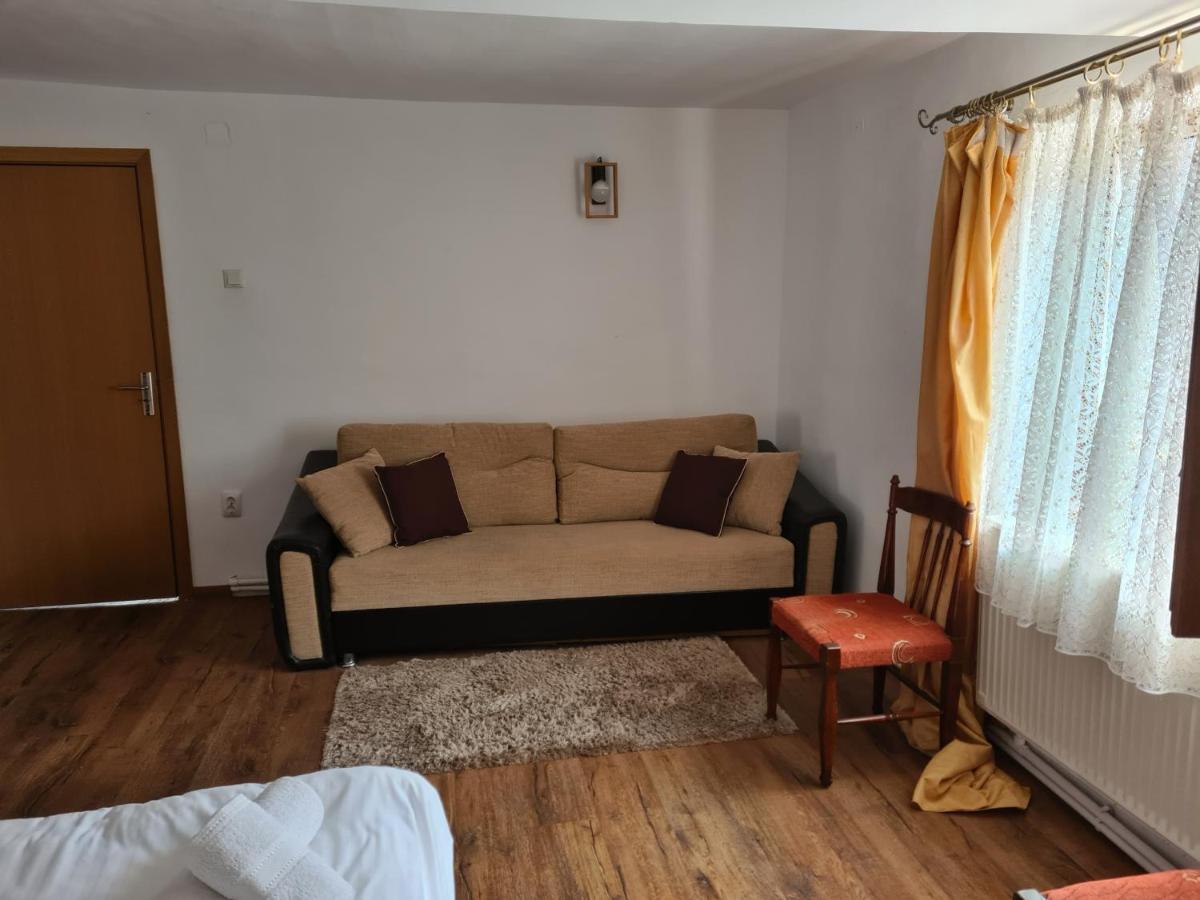 Vila Speranta Pleşcoi Exteriör bild
